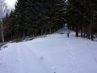 Winter in Dolni Becva