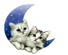 Кошки в луне